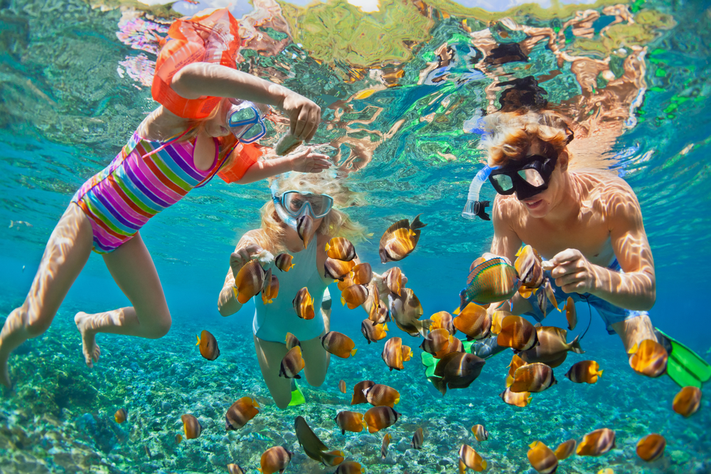 Happy,Family,-,Father,,Mother,,Child,In,Snorkeling,Mask,Dive Happy,Family,-,Father,,Mother,,Child,In,Snorkeling,Mask,Dive